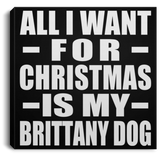 All I Want For Christmas Is My Brittany Dog - Canvas Square