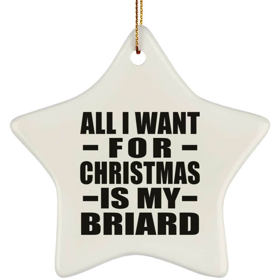 All I Want For Christmas Is My Briard - Star Ornament