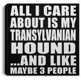 All I Care About Is My Transylvanian Hound - Canvas Square