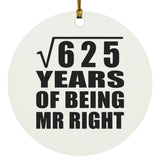 25th Anniversary Square Root of 625 Years of Being Mr Right - Circle Ornament