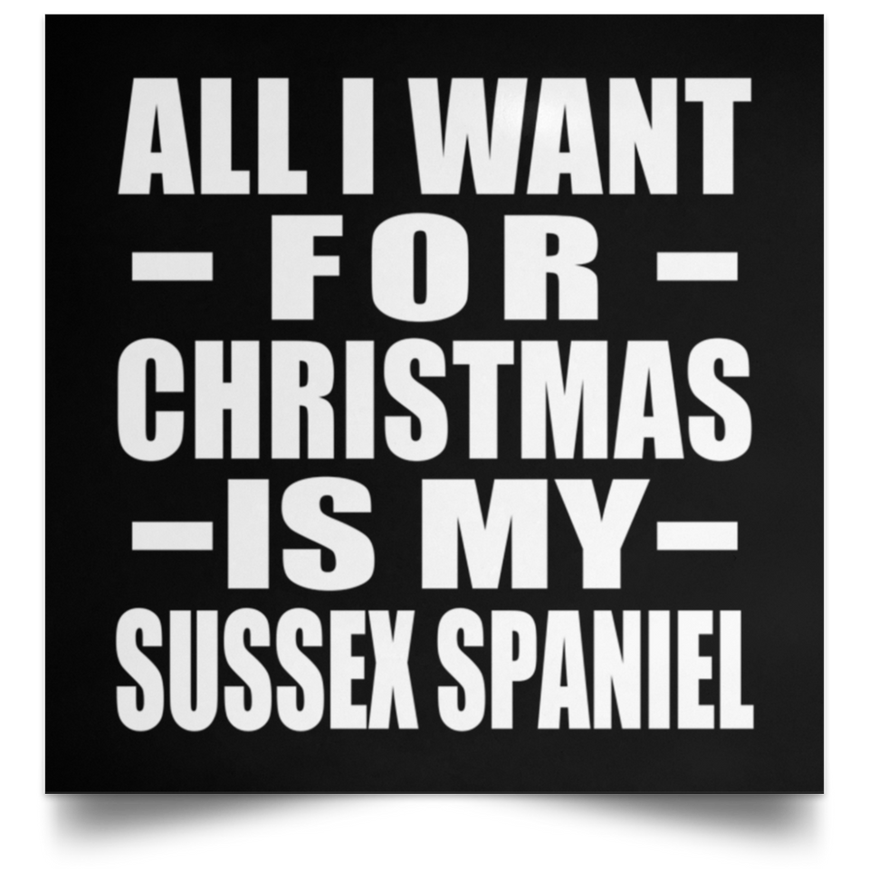 All I Want For Christmas Is My Sussex Spaniel - Poster Square