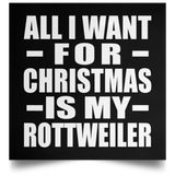 All I Want For Christmas Is My Rottweiler - Poster Square