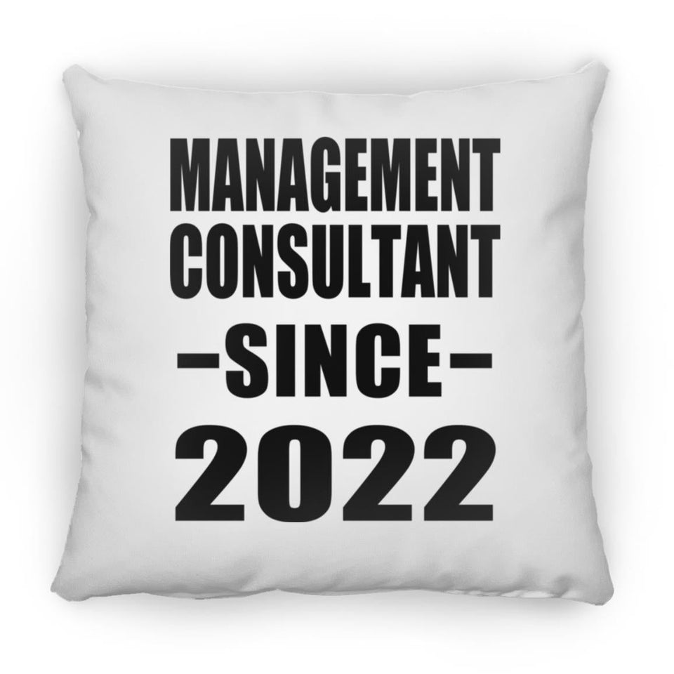 Management Consultant Since 2022 - Throw Pillow