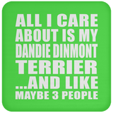 All I Care About Is My Dandie Dinmont Terrier - Drink Coaster