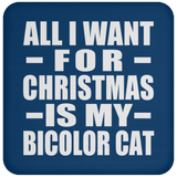 All I Want For Christmas Is My Bicolor Cat - Coaster