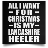 All I Want For Christmas Is My Lancashire Heeler - Poster Square