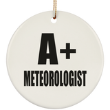 A+ Meteorologist - Circle Ornament