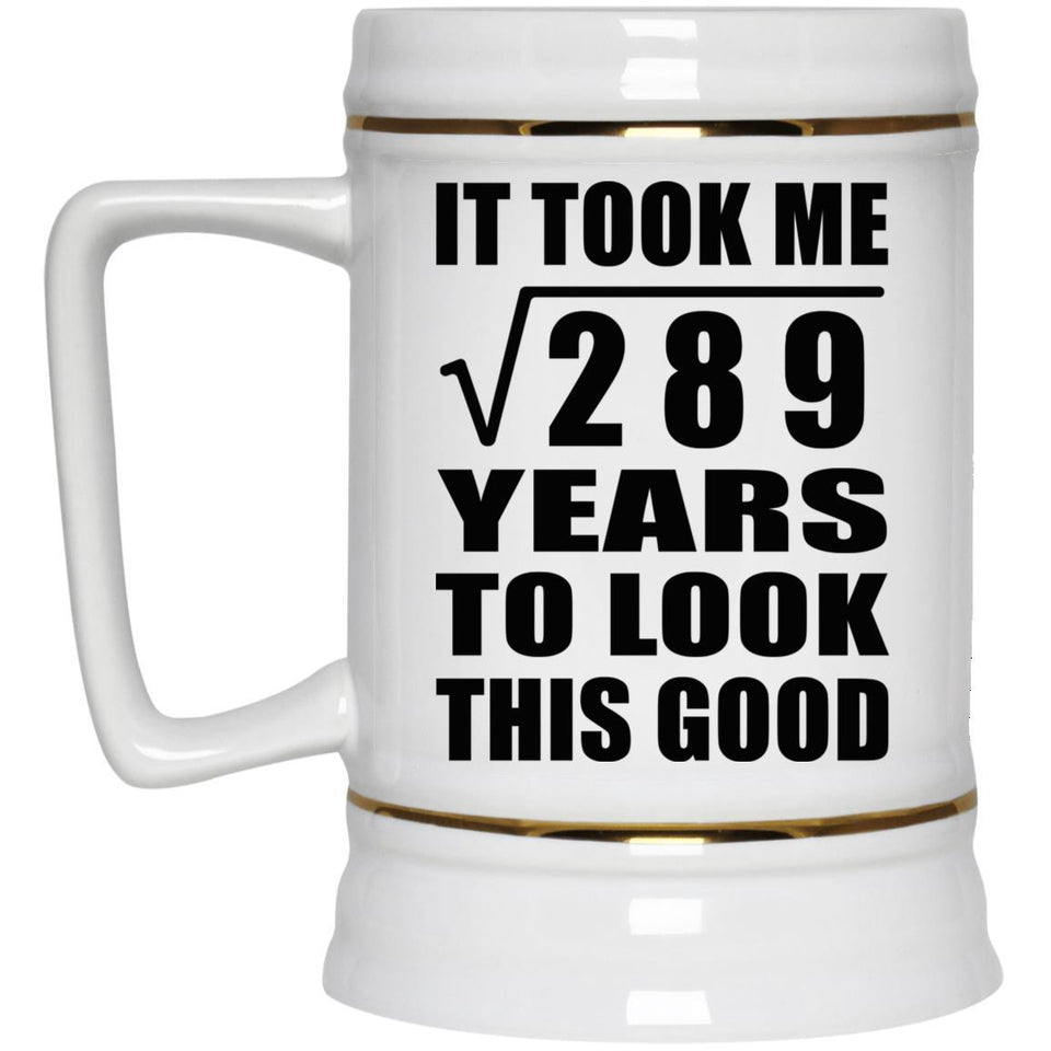 17th Birthday Took Square Root of 289 Years To Look Good - Beer Stein