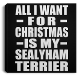 All I Want For Christmas Is My Sealyham Terrier - Canvas Square
