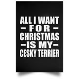 All I Want For Christmas Is My Cesky Terrier - Poster Portrait