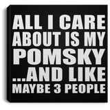 All I Care About Is My Pomsky - Canvas Square