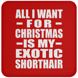 All I Want For Christmas Is My Exotic Shorthair - Coaster