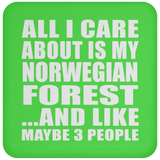All I Care About Is My Norwegian Forest - Drink Coaster