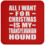 All I Want For Christmas Is My Transylvanian Hound - Coaster