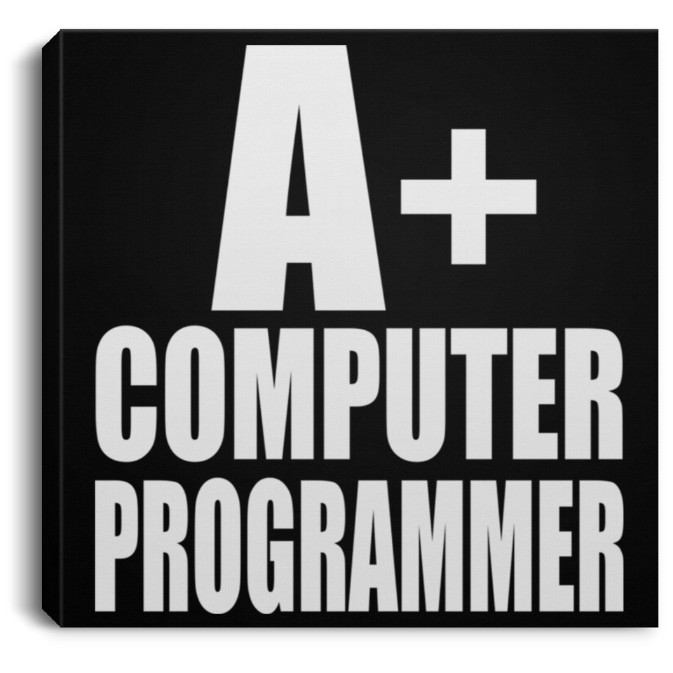 A+ Computer Programmer - Canvas Square