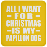 All I Want For Christmas Is My Papillon Dog - Coaster
