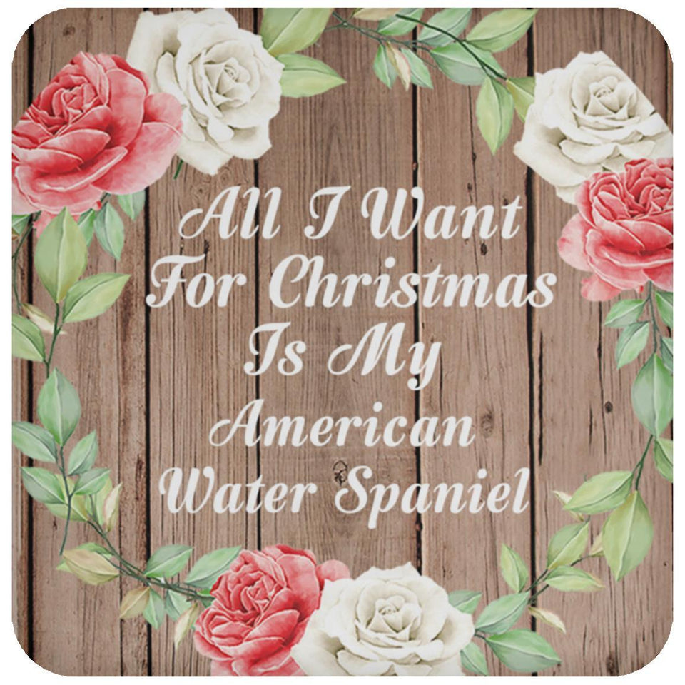 All I Want For Christmas Is My American Water Spaniel - Drink Coaster B