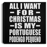 All I Want For Christmas Is My Portuguese Podengo Pequeno - Canvas Square
