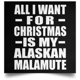 All I Want For Christmas Is My Alaskan Malamute - Poster Square