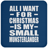 All I Want For Christmas Is My Small Munsterlander - Coaster