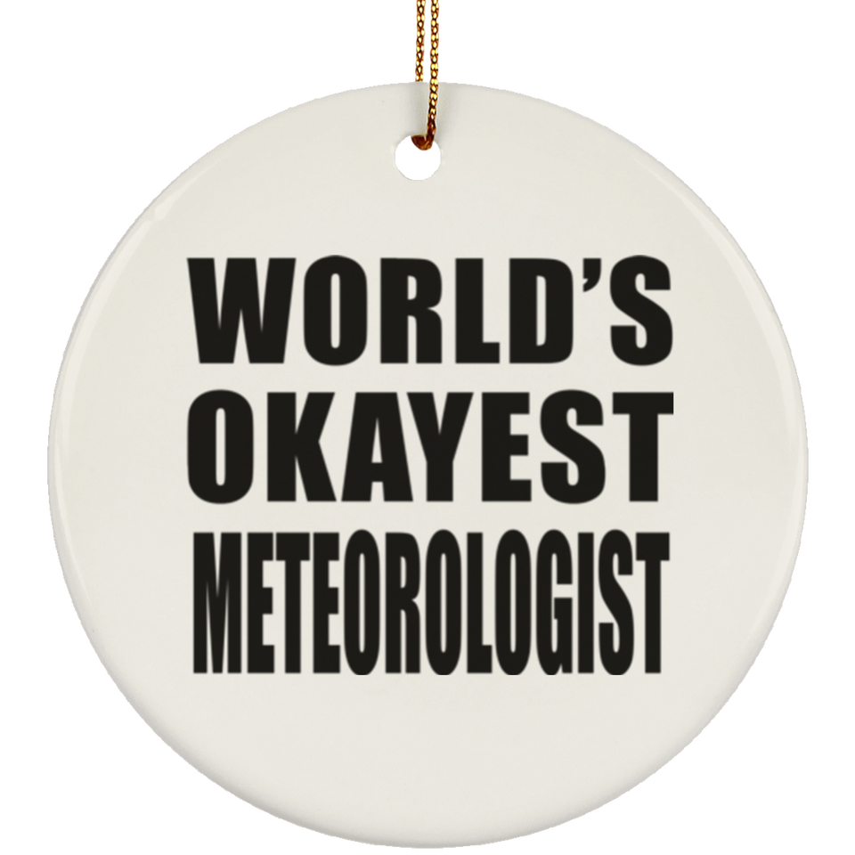World's Okayest Meteorologist - Circle Ornament