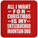 All I Want For Christmas Is My Entlebucher Mountain Dog - Coaster