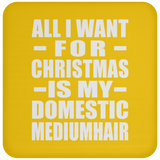 All I Want For Christmas Is My Domestic Mediumhair - Coaster