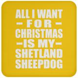 All I Want For Christmas Is My Shetland Sheepdog - Coaster