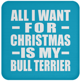All I Want For Christmas Is My Bull Terrier - Coaster