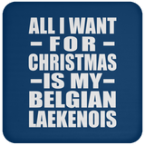 All I Want For Christmas Is My Belgian Laekenois - Coaster