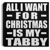 All I Want For Christmas Is My Tabby - Canvas Square
