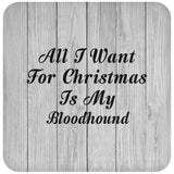 All I Want For Christmas Is My Bloodhound - Drink Coaster F