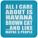 All I Care About Is Havana Brown Cat - Drink Coaster