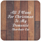 All I Want For Christmas Is My Domestic Shorthair Cat - Drink Coaster E