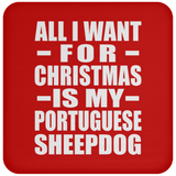 All I Want For Christmas Is My Portuguese Sheepdog - Coaster