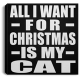 All I Want For Christmas Is My Cat - Canvas Square