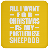 All I Want For Christmas Is My Portuguese Sheepdog - Coaster