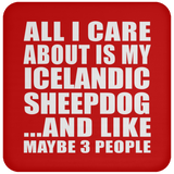 All I Care About Is My Icelandic Sheepdog - Drink Coaster