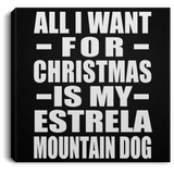 All I Want For Christmas Is My Estrela Mountain Dog - Canvas Square