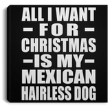 All I Want For Christmas Is My Mexican Hairless Dog - Canvas Square