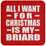 All I Want For Christmas Is My Briard - Coaster