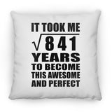 29th Birthday Took Square Root of 841 Years To Awesome - Throw Pillow