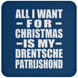 All I Want For Christmas Is My Drentsche Patrijshond - Coaster