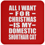 All I Want For Christmas Is My Domestic Shorthair Cat - Coaster