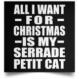 All I Want For Christmas Is My Serrade Petit Cat - Poster Square