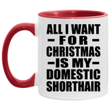 All I Want For Christmas Is My Domestic Shorthair - 11oz Accent Mug Red