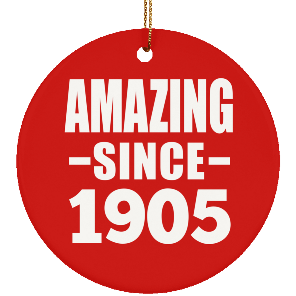 119th Birthday Amazing Since 1905 - Circle Ornament