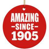 119th Birthday Amazing Since 1905 - Circle Ornament