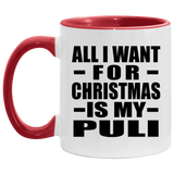 All I Want For Christmas Is My Puli - 11oz Accent Mug Red