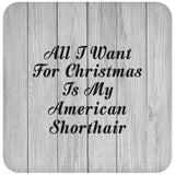 All I Want For Christmas Is My American Shorthair - Drink Coaster F